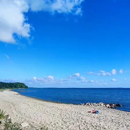 Auf Dem Lande Niesgrau