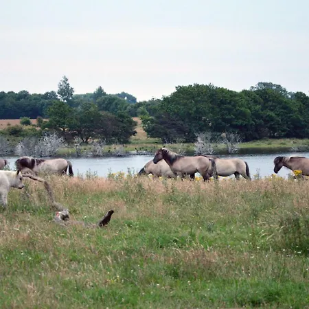 Bauernhof Auf Dem Lande