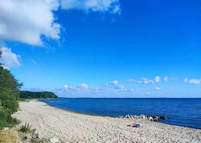 Auf Dem Lande Niesgrau