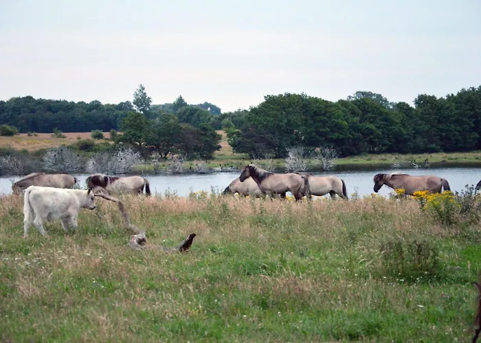 Alojamento de Turismo Rural Auf Dem Lande